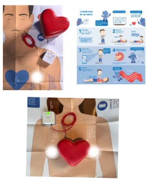 Rcpractica Pro Con Retroalimentador Incluido (maniqui Rcp)